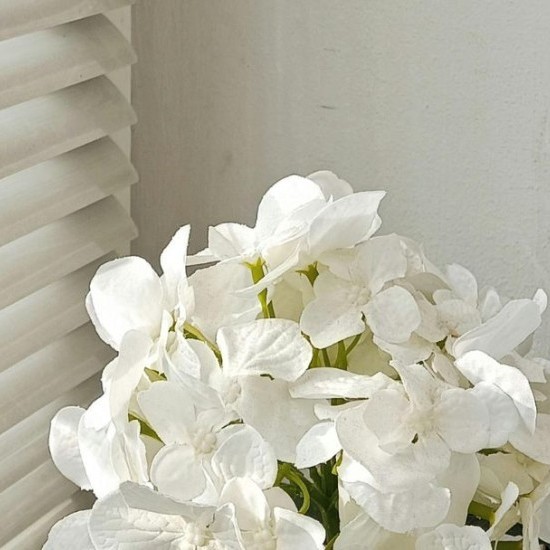 Imagen Persianes i mosquiteres 1