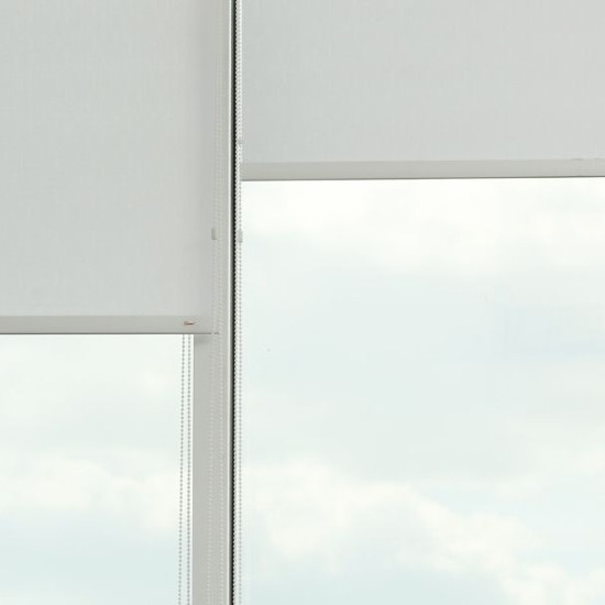 Persianes i mosquiteres 1