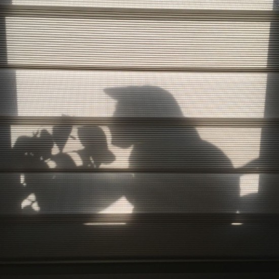 Aluvidres Fotos 2024 6