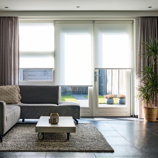 Aluvidres Fotos 2024 1